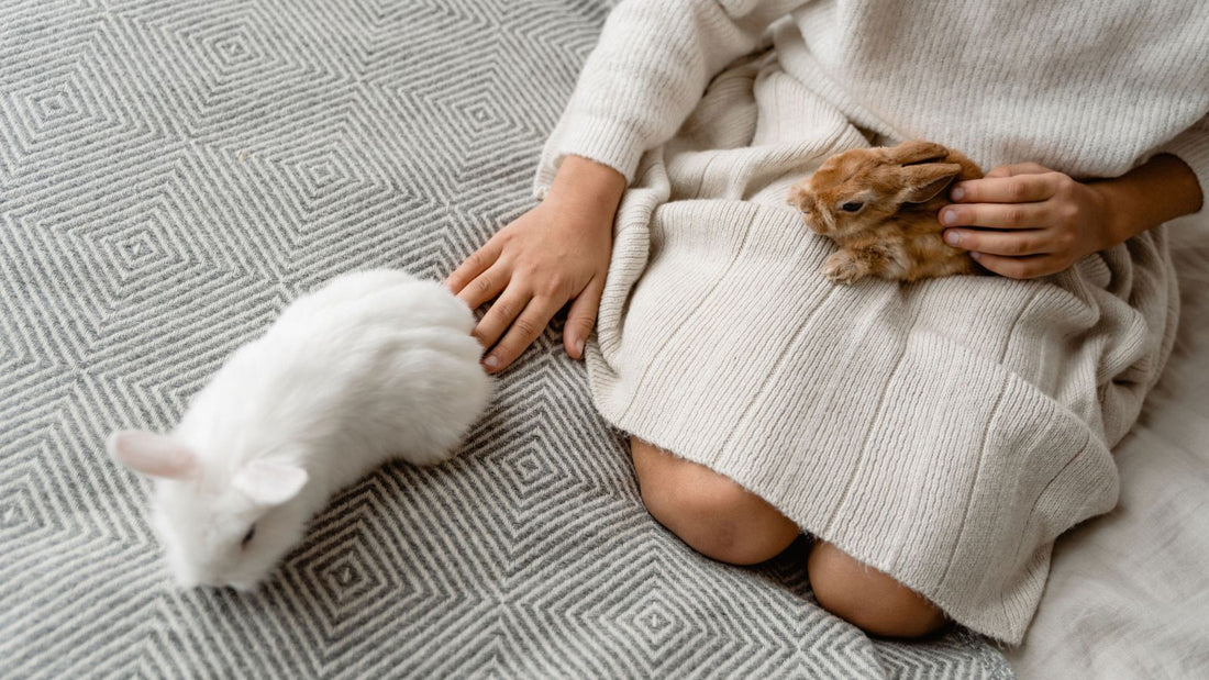 Why Rabbits Hide Pain Better Than Most Pets