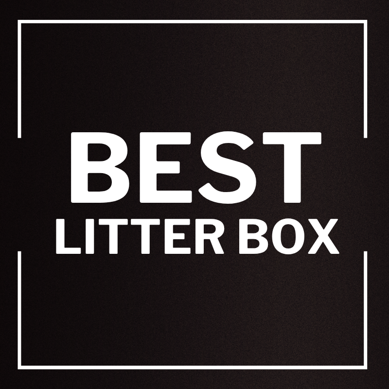 Best-Selling Cat Litter Boxes
