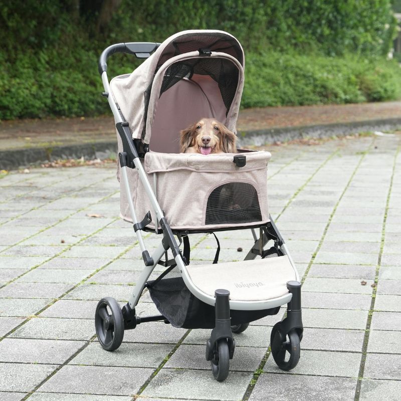 Dog Carriers & Strollers