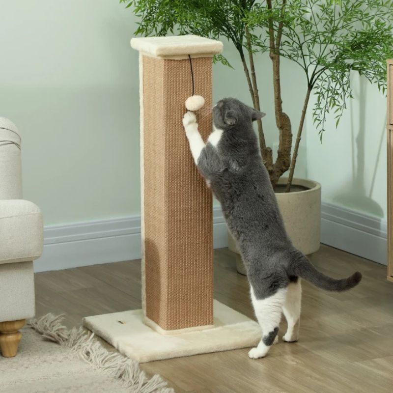 Cat Scratchers
