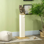 Cat Scratcher Crain - PETSTEP