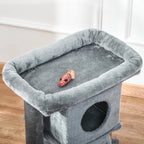 Cat Scratcher Jordi - PETSTEP