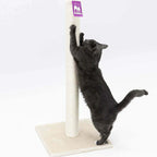 Cat Scratcher Korra - PETSTEP