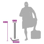 Cat Scratcher Korra - PETSTEP