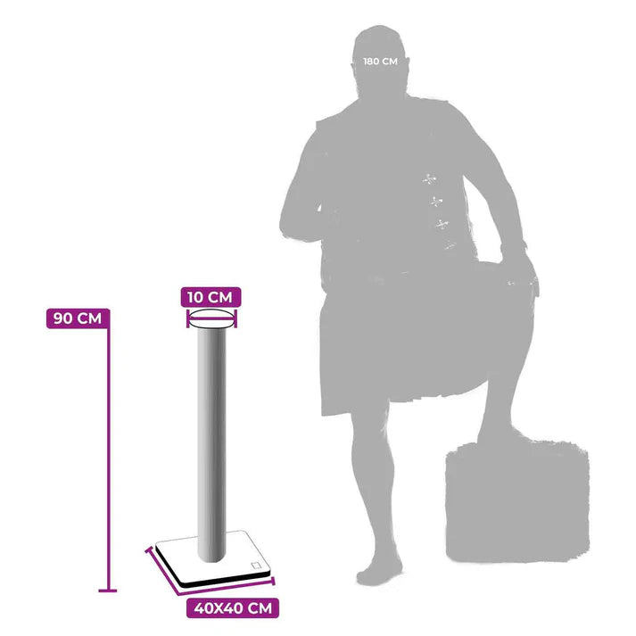 Cat Scratcher Korra - PETSTEP