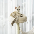 Cat Tree Nevi - PETSTEP