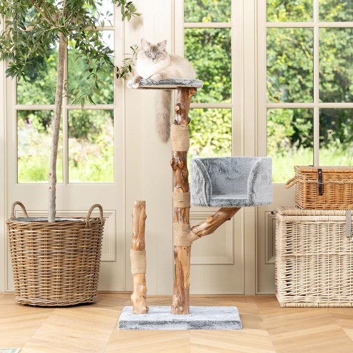 Cat Tree Oakley - PETSTEP