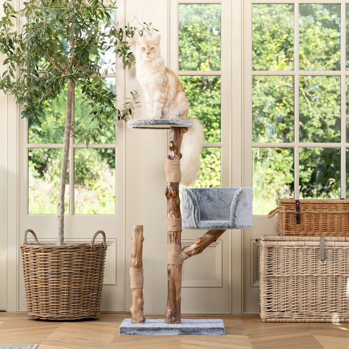 Cat Tree Oakley - PETSTEP