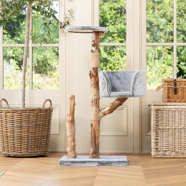 Cat Tree Oakley - PETSTEP