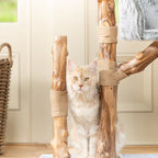 Cat Tree Oakley - PETSTEP
