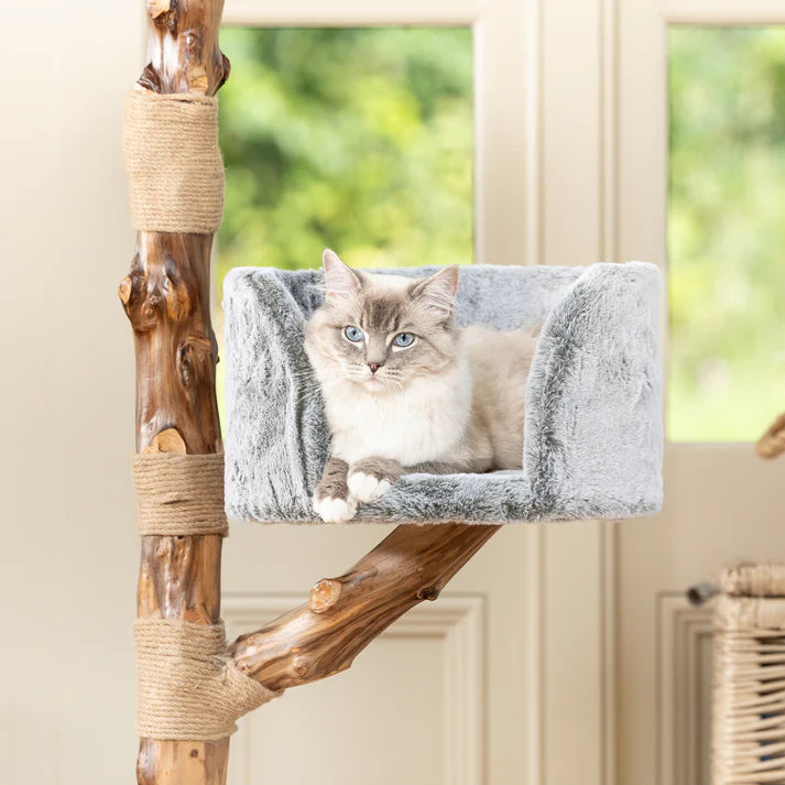 Cat Tree Oakley - PETSTEP