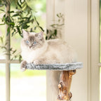 Cat Tree Oakley - PETSTEP