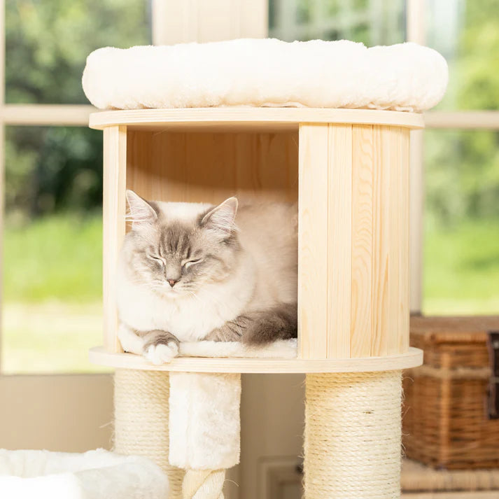Cat Tree Whisper - PETSTEP