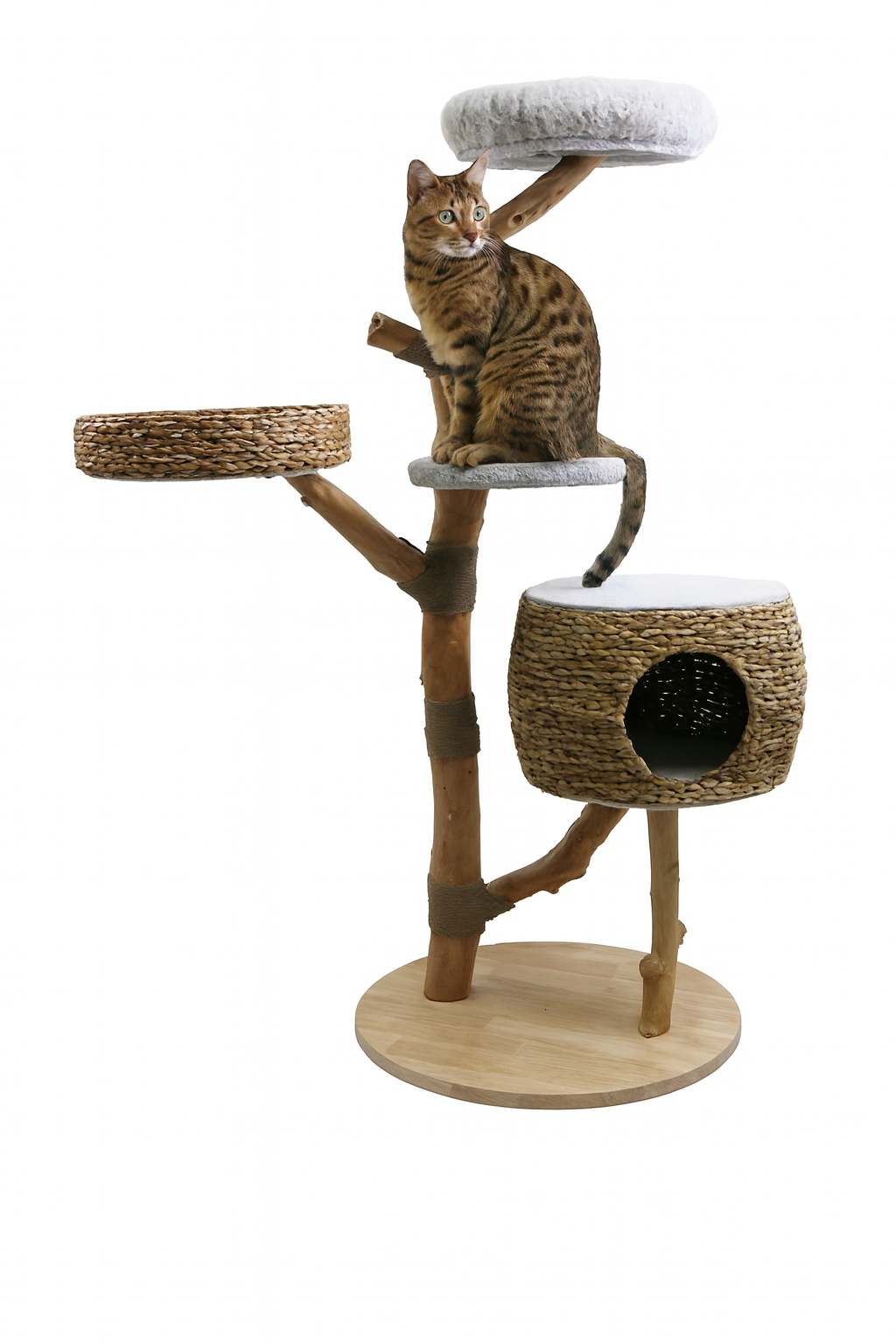 Cat Tree Birchley - PETSTEP