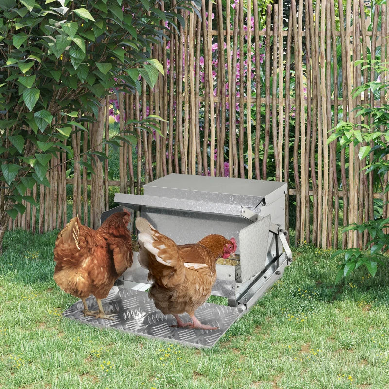 Automatic Chicken Poultry Feeder Tino