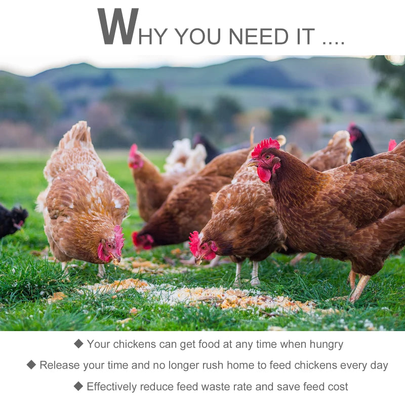 Automatic Chicken Poultry Feeder Tino