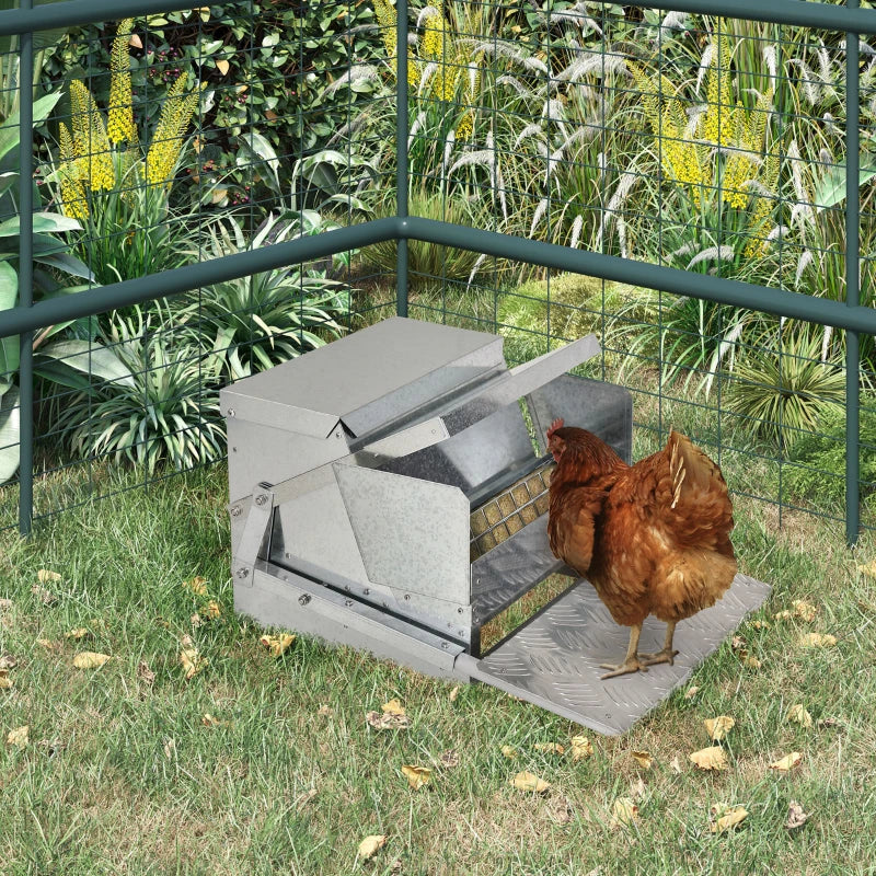 Automatic Chicken Poultry Feeder Tino