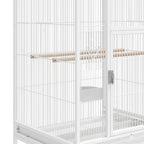 Bird Cage Abby