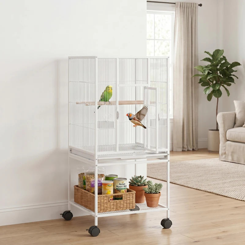 Bird Cage Abby