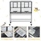 Bird Cage Alice