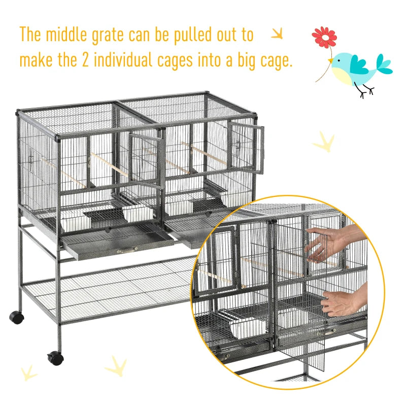 Bird Cage Alice