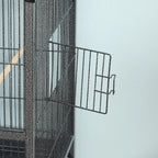 Bird Cage Alice