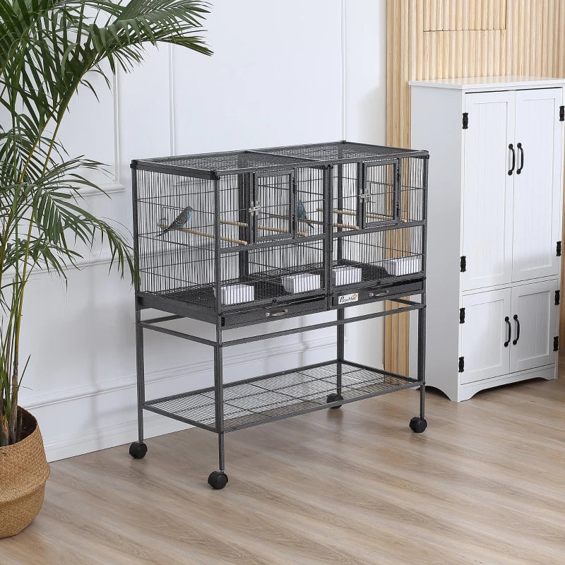 Bird Cage Alice