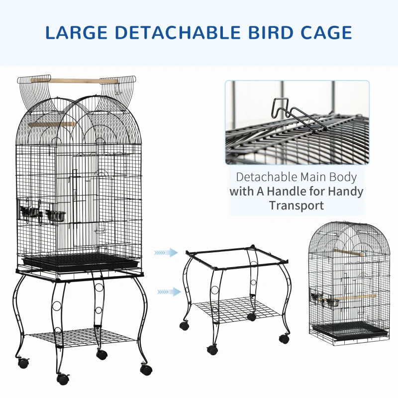 Bird Cage Ally