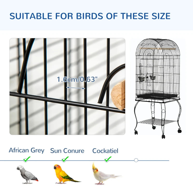 Bird Cage Ally