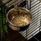 Bird Cage Ally