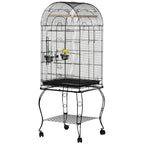 Bird Cage Ally