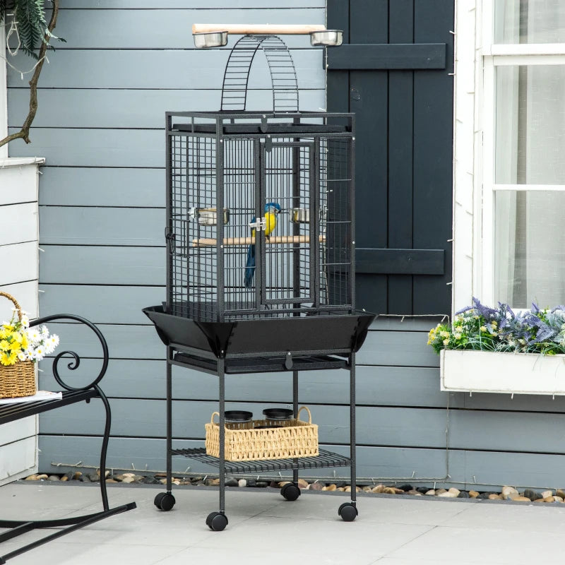 Bird Cage Donna