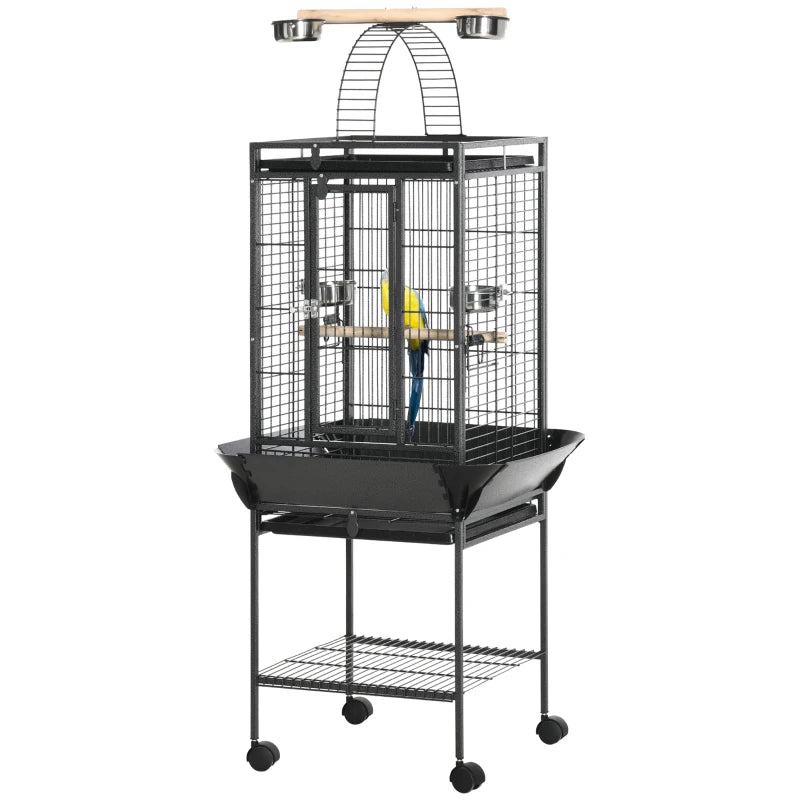 Bird Cage Donna
