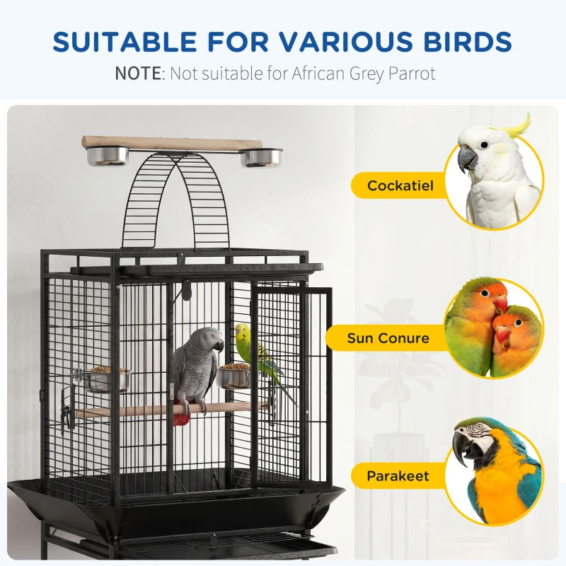 Bird Cage Donna