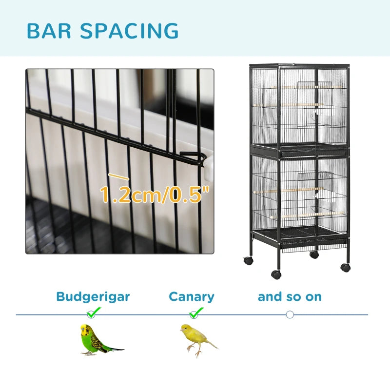 Bird Cage Louis