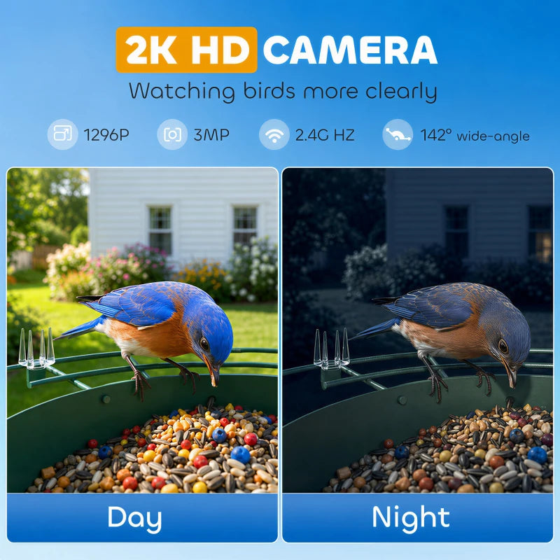 Bird Feeder Camera Ricky