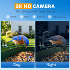 Bird Feeder Camera Ricky