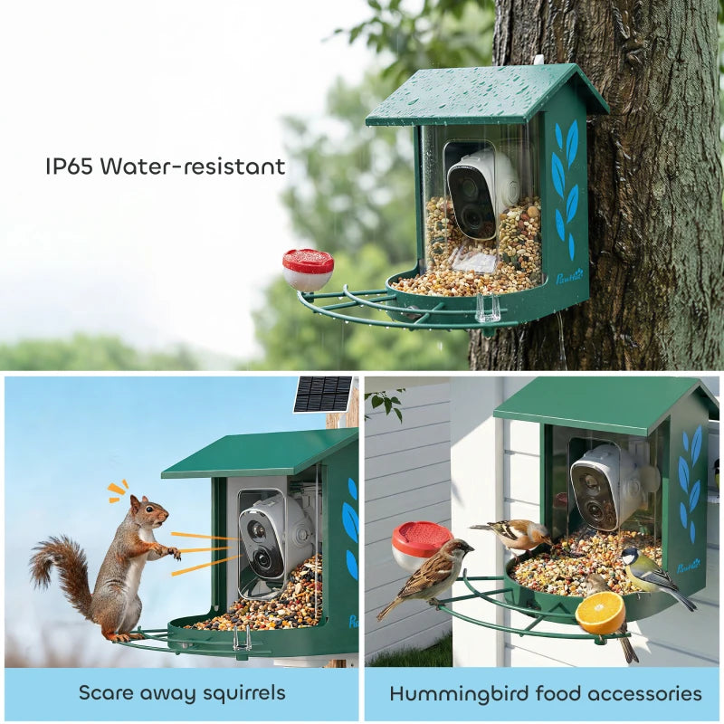Bird Feeder Camera Ricky