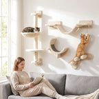 Cat Climbing Wall Bingo