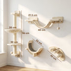 Cat Climbing Wall Bingo