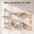 Cat Climbing Wall Bingo