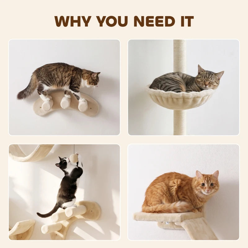Cat Climbing Wall Bingo