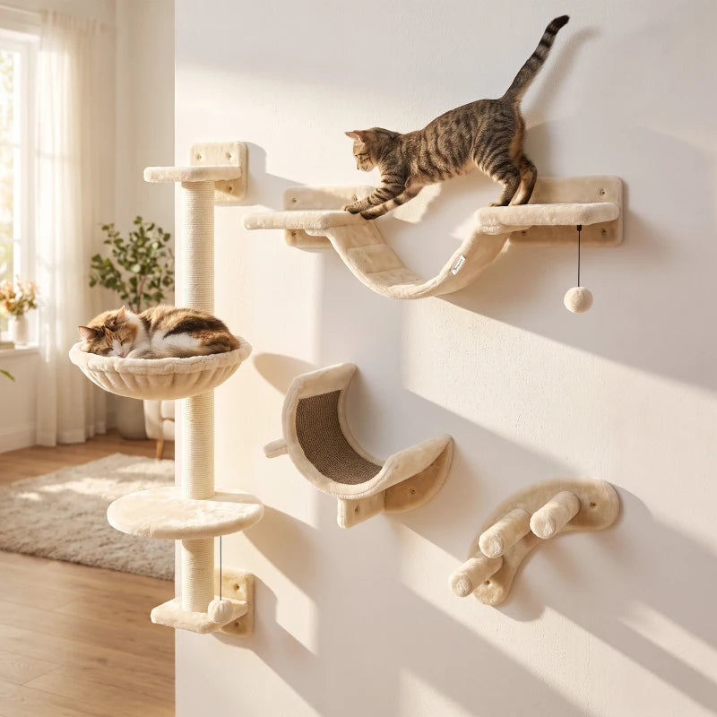 Cat Climbing Wall Bingo