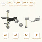 Cat Climbing Wall Dawson - PETSTEP