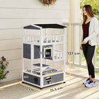 Cat House Danny - PETSTEP