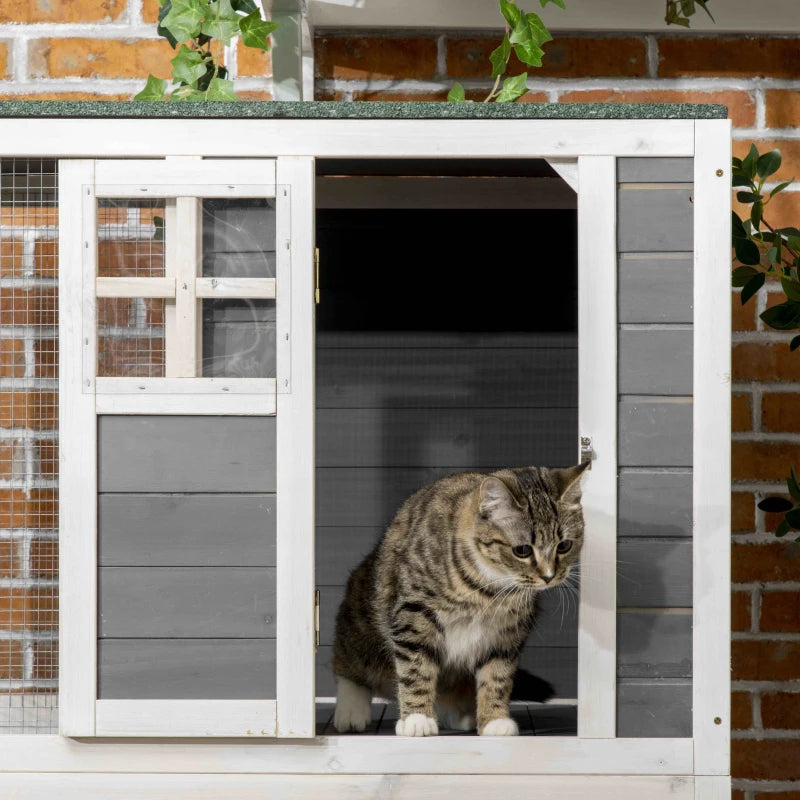 Cat House Gibbs - PETSTEP