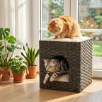 Pet House Liam
