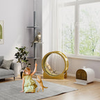 Cat Litter Box Alina