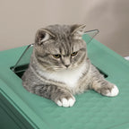 Cat Litter Box Eva