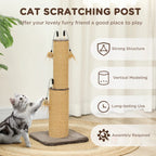 Cat Scratcher Alex - PETSTEP